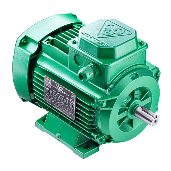 الکتروموتور 112M4A 4-1500 55F 400/690 IE4